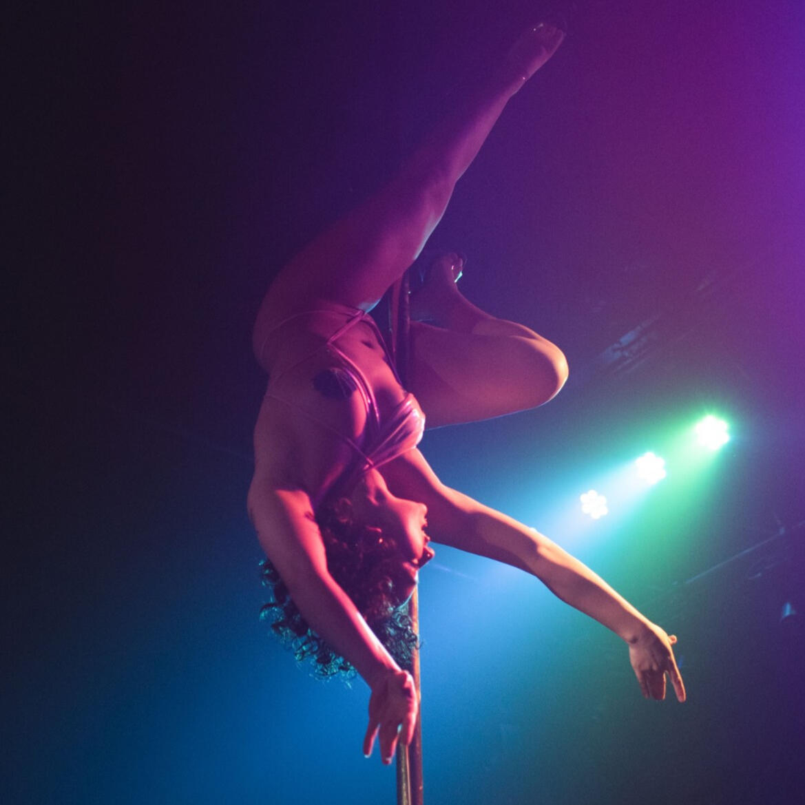 Hibiscus Lust Hibiscus Lust